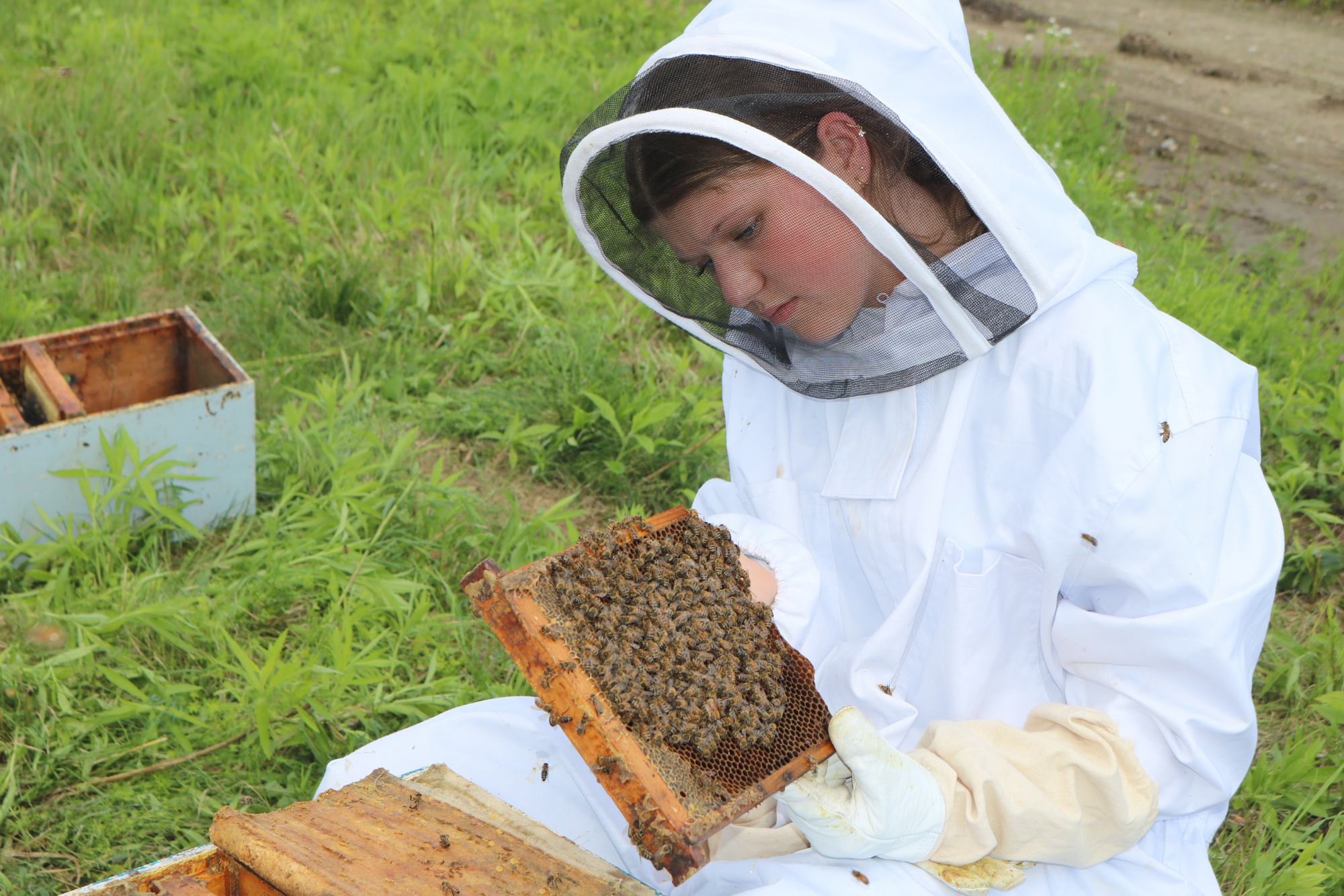 During LIFT, our weeklong trades exploration program for high school students, a student examines a bee hive.