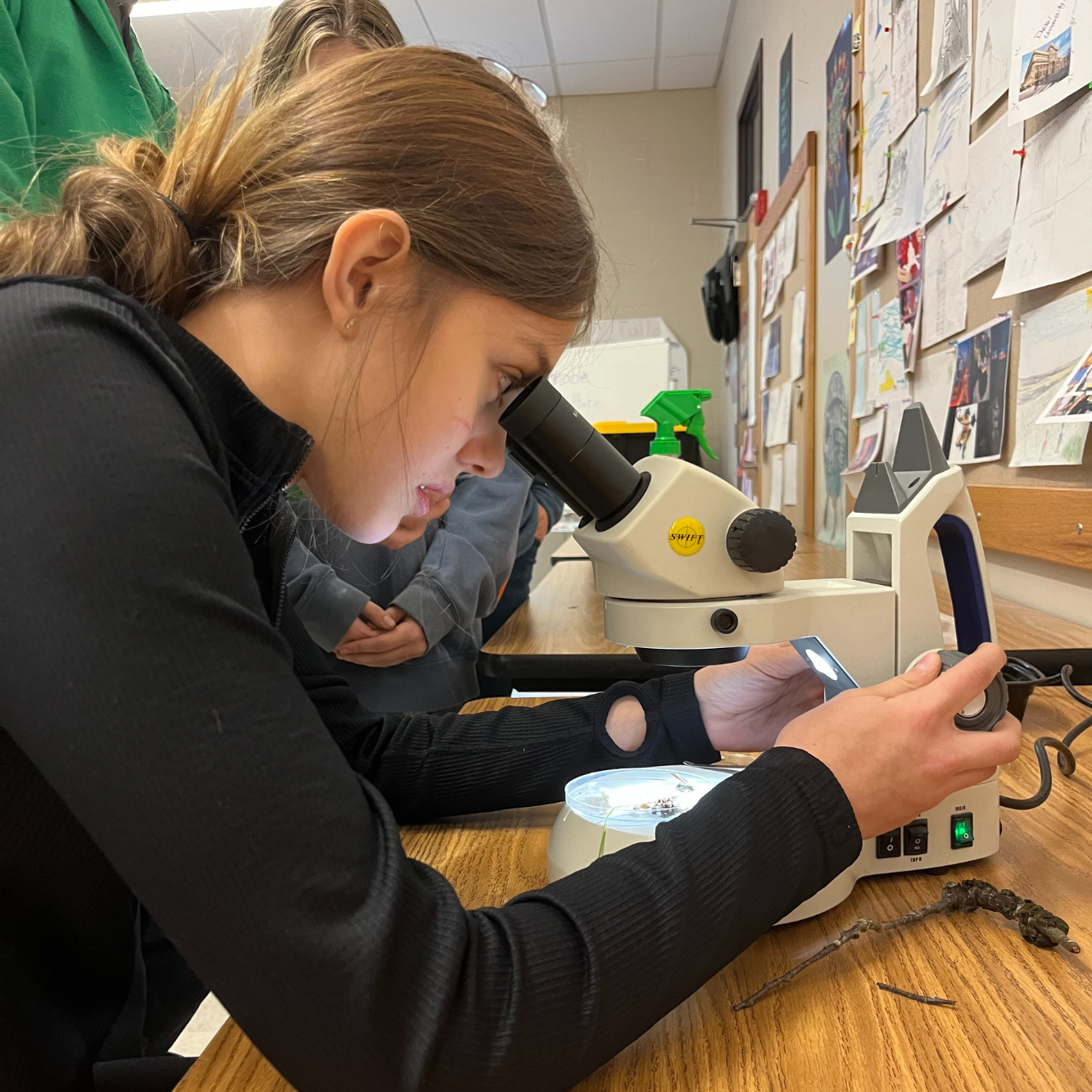 A middle school student uses a microscope at Career Challenge Day