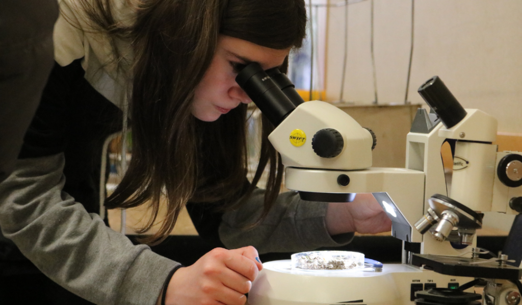 Middle school student uses a microscope at Career Challenge Day