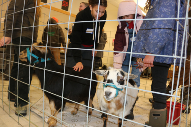 Middle school students meet goats at Career Challenge Day at GMTCC.