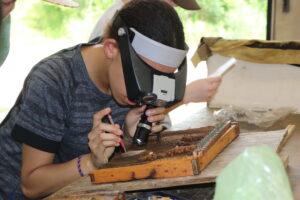 LIFT camper trying beekeeping grafting