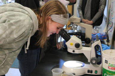 A middle school girl looks through a microscope at Career Challenge Day